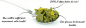 Preview: Pesto - BIO -Meersalat -  Basilikum - Sonnenblumenkerne - Algenpesto
